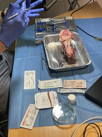 Hands-on workshop